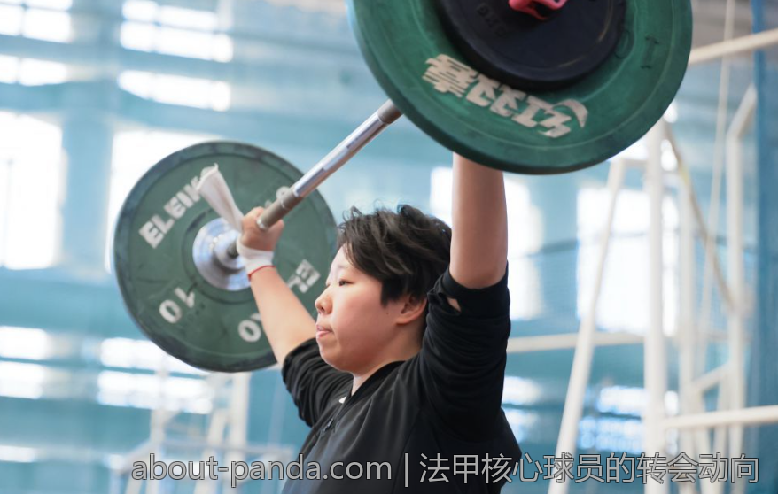 法甲核心球员的转会动向